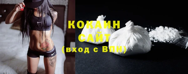 прущие грибы Новодвинск