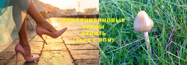 spice Нефтекумск