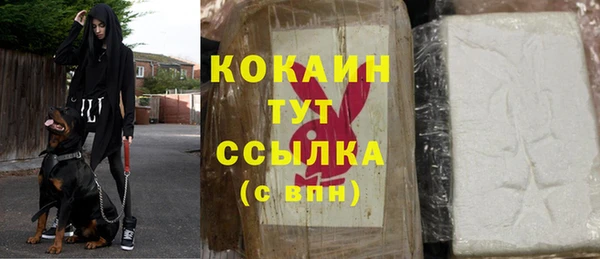стафф Алексин