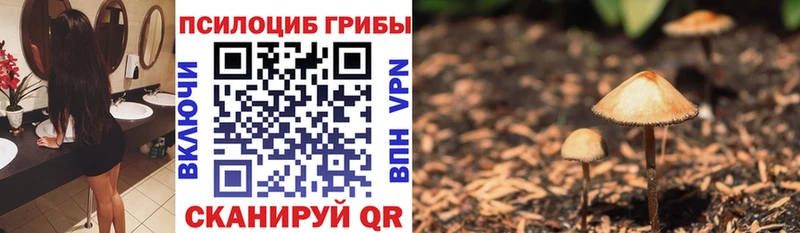 наркошоп  Ардатов  нарко площадка официальный сайт  Псилоцибиновые грибы Magic Shrooms 