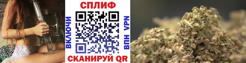 где можно купить   Ардатов  МАРИХУАНА THC 21% 
